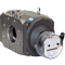 Счетчик газовый RABO G100 1829